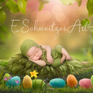 Magic Spring Easter Wood. Fantasy Forest Backdrop for Newborn Children Photography. digital download. Easter egg. Happy Easter.