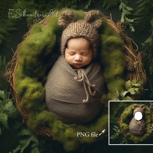 ウッドランドの新生児デジタル背景。 PNG ファイルの顔の挿入。巣苔シダの小さなかわいいクマの赤ちゃん。フォトプロップPhotoshopコンポジット。