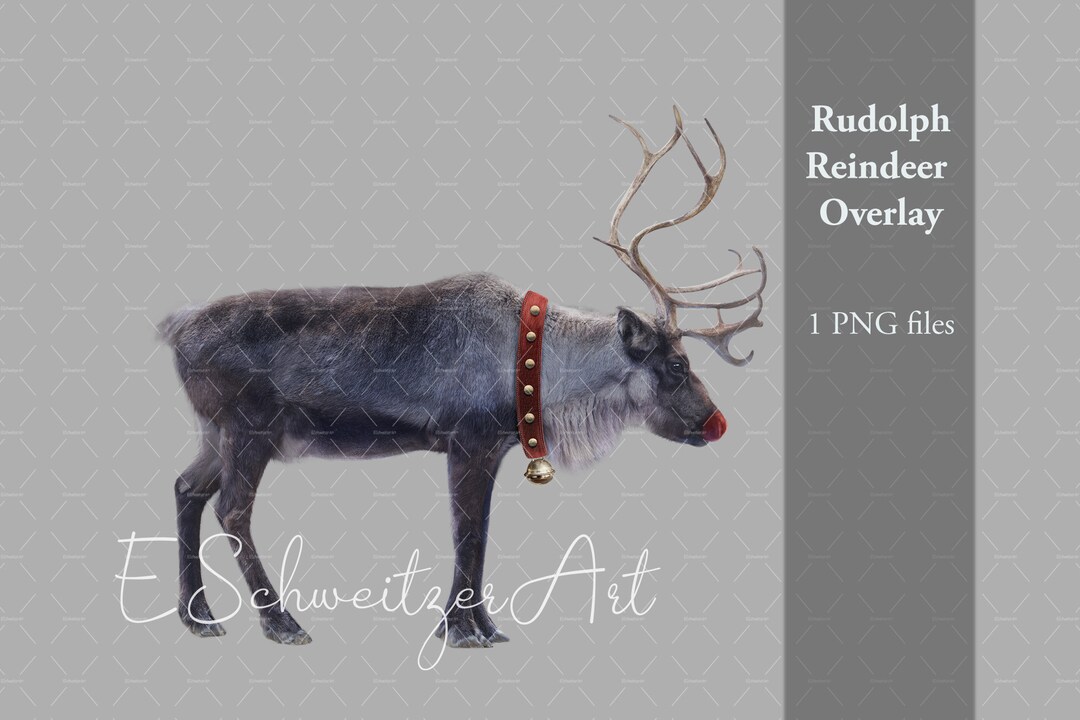 Rudolph the Red Nosed Reindeer. PNG File on Transparent Background