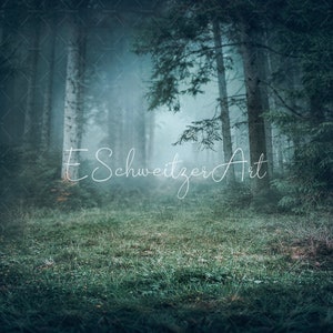 May include: A misty forest scene with tall trees and a path leading into the woods. The text "E Schweizer Art" is visible in the centre of the image.