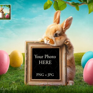 Könnte beinhalten: Ein braunes Kaninchen lehnt an einem goldenen Bilderrahmen mit schwarzem Hintergrund. Der Rahmen trägt den Text "Your Photo HERE PNG + JPG". Das Kaninchen befindet sich auf einer grünen Wiese mit bunten Ostereiern.