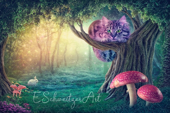 Alicia en el país de las Maravillas. Gato de Cheshire. Bosque. Telón de  fondo digital de cuento de hadas. Fondo de arte mágico de fantasía para  fotógrafos. Arte de pared.Afiches. - Etsy, image size:570x380