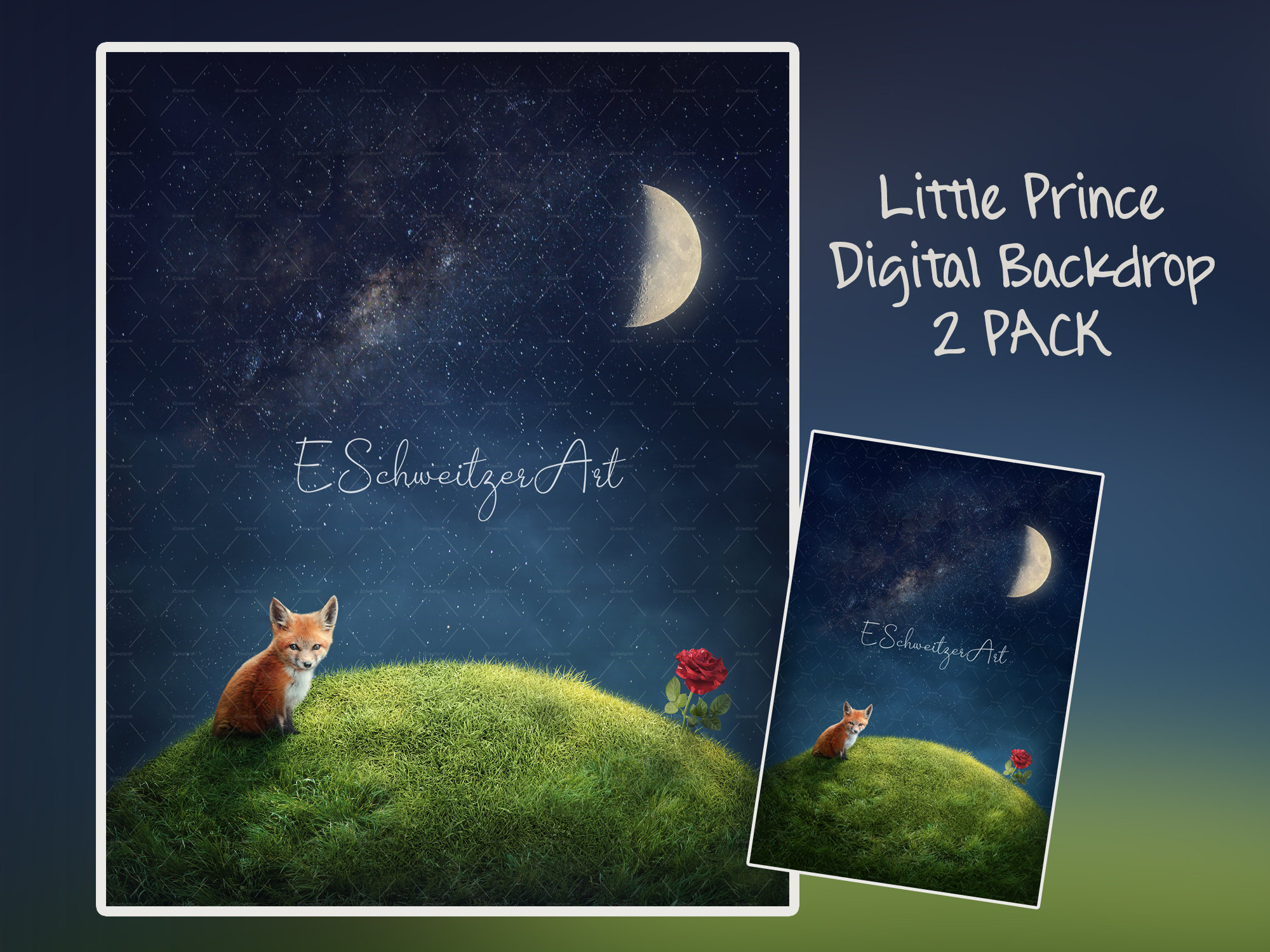 The Little Prince print by Elena Schweitzer