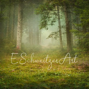 Enchanted Wood. Magic Forest. Meadow Copy Space. Digital Download Backdrop. Fantasy Background for Photo Composite. Woodland. Fairy Tale.