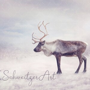Winter Digital Backdrop for Photographers. Christmas Reindeer Background for Photography Composites. Cute Animal. Christmas. Snow Overlay.