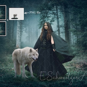 May include: A woman in a black hooded cloak and dress stands in a misty forest with a white wolf. The woman is looking at the viewer. The wolf is looking at the woman. The forest is dark and mysterious.