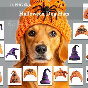 Könnte beinhalten: 14 PNG-Dateien mit Halloween-Hutmützen für Hunde. Die Mützen sind orange und lila und zeigen Kürbisse, Spinnen und Hexenhüte. Die Mützen befinden sich auf einem weißen Hintergrund.