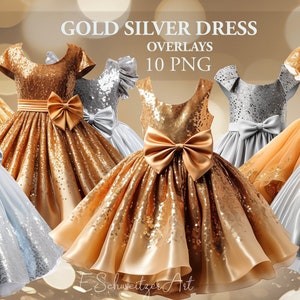 Silver Golden Dress - Etsy
