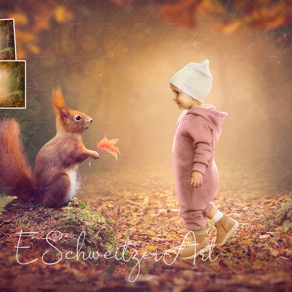 Magic Autumn Forest Digital backdrop for Photographers. Children Photography. Fairy Wood Fantasy Background. Cute Squirrel. Instant Download