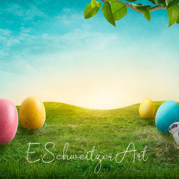 Simple Happy Easter Background with Rabbit and Colorful Eggs for Photographers. digital download. FieldLandscape. Grass Meadow. Copyspace