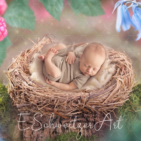 Fairy Forest Backdrop for Newborn Photography. digital download. Little fairies. Magic Forest Backdrop. Enchanted Wood. bird nest Flowers