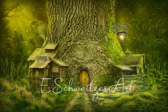 Home - The Enchanted Forest