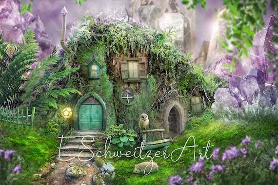 Home - The Enchanted Forest