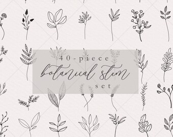Hand-Drawn Wildflower Clipart | Botanical Stems, Wedding Invitation (Digital Download)