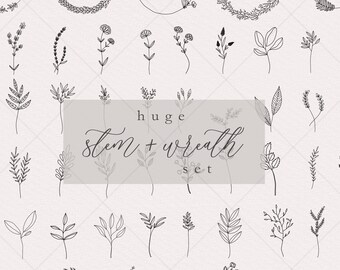 Hand Drawn Floral Wreath Clipart Bundle | Botanical Stems (Digital Download)