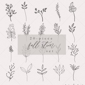 Flower Clipart Fall Line Art Wedding Clipart Hand Drawn Botanical Stems ...