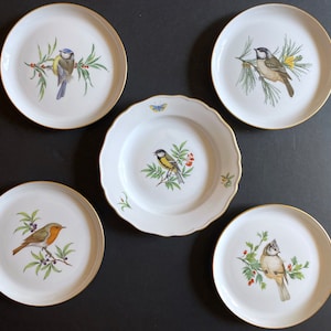 Meissen handpainted birds motif cabinet plates, set of 5, 1st choice, gold rim, 20 century, highly collectible!