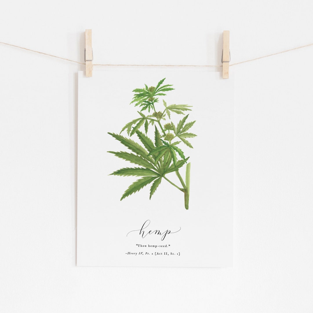 Shakespeare Garden Hemp Hemp Watercolor Painting Etsy