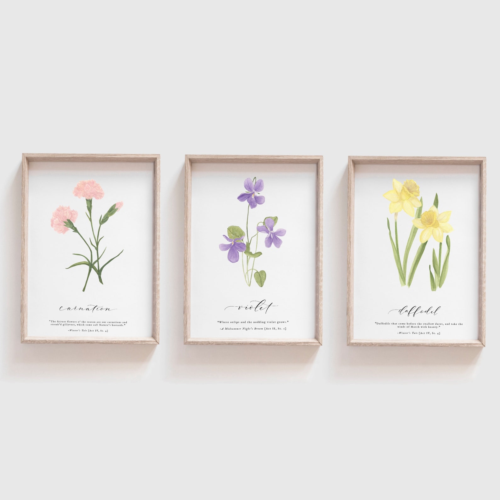 Shakespeare Garden Violet Violets Watercolor Painting Etsy