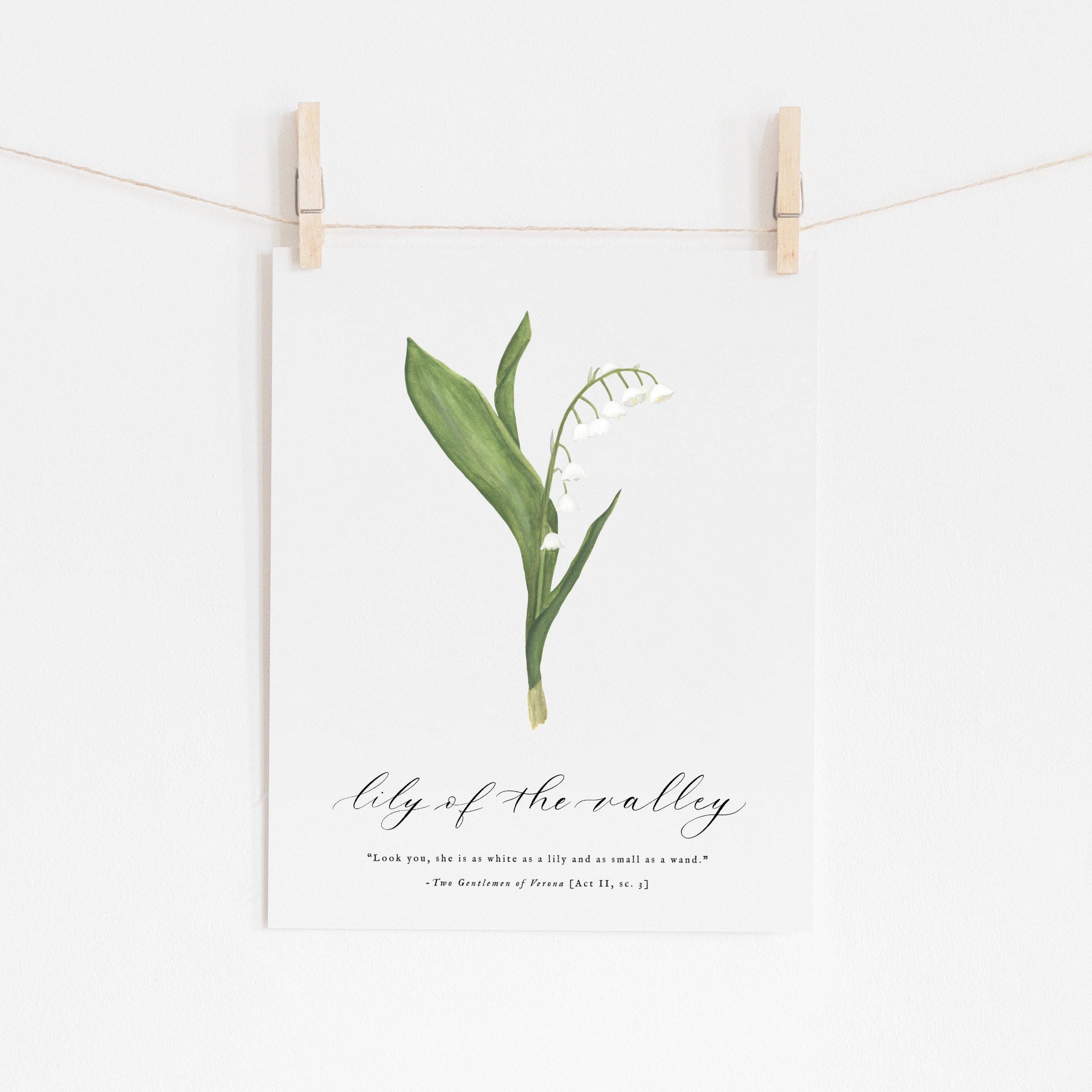 Lily Of The Valley Birth Flower Artwork May Birth Flower, 41% OFF
