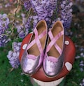 Rapunzel Inspired Metallic Shoes