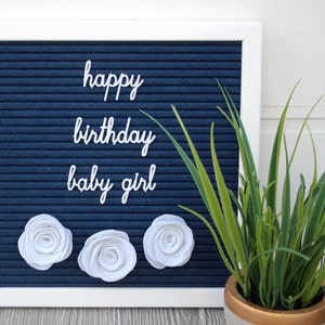 May include: A navy blue felt letter board with the words "happy birthday baby girl" in white script. Three white paper flowers are at the bottom. A potted plant with green leaves is on the right.