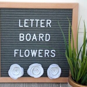 May include: A gray felt letter board with the words "LETTER BOARD FLOWERS" in white letters. Three white felt flowers are attached to the bottom of the board. The board has a light wood frame. A potted plant is to the right.