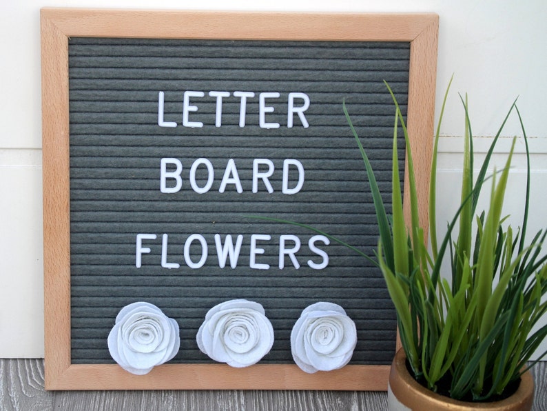 May include: A gray felt letter board with the words "LETTER BOARD FLOWERS" in white letters. Three white felt flowers are attached to the bottom of the board. The board has a light wood frame. A potted plant is to the right.