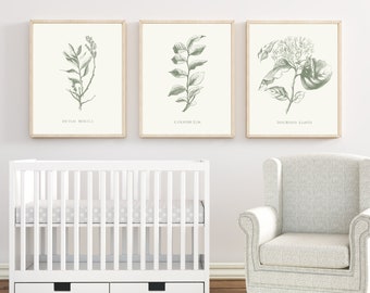 Botanical Print Set, Set of 6 Botanical Prints, Vintage Botanical, Botanical Art, Floral Prints, Vintage Art Print, Floral Wall Decor