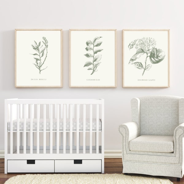 Vintage Botanical Print Set, Floral Wall Art (Digital Download)