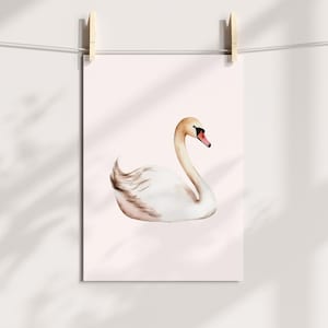 Watercolor White Swan Print, Swan Nursery Wall Art, Nursery Prints, Swan Nursery Art, Pink Swan Ballerina, Digital Download