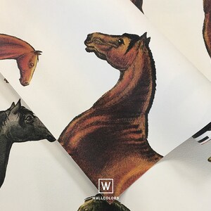 Horses Beige - Wallcolors - Vintage Wallpapers