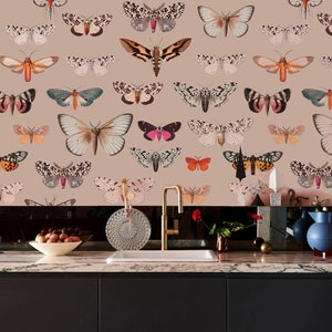colorful butterfly wallpaper, butterflies pattern, light pink background, peel & stick or non-woven wall decor || #C6