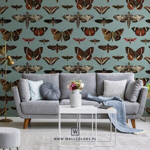Butterflies Turquoise - Wallcolors - Vintage Wallpapers - Living Room Decor