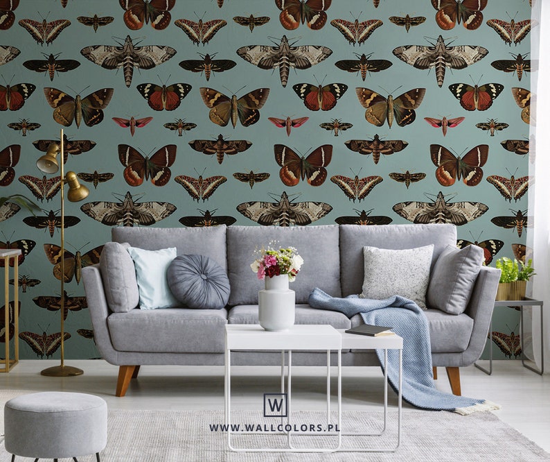 Butterflies Turquoise - Wallcolors - Vintage Wallpapers - Living Room Decor