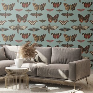 Butterflies Turquoise - Wallcolors - Vintage Wallpapers - Living Room Decor