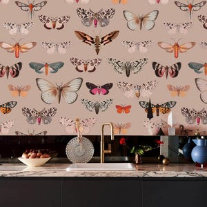 Carta da parati con farfalle colorate, murale botanico con sfondo rosa chiaro, stacca e attacca o tessuto non tessuto, decorazione per la cucina // #C6