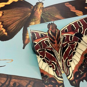 Butterflies Turquoise - Wallcolors - Vintage Wallpapers