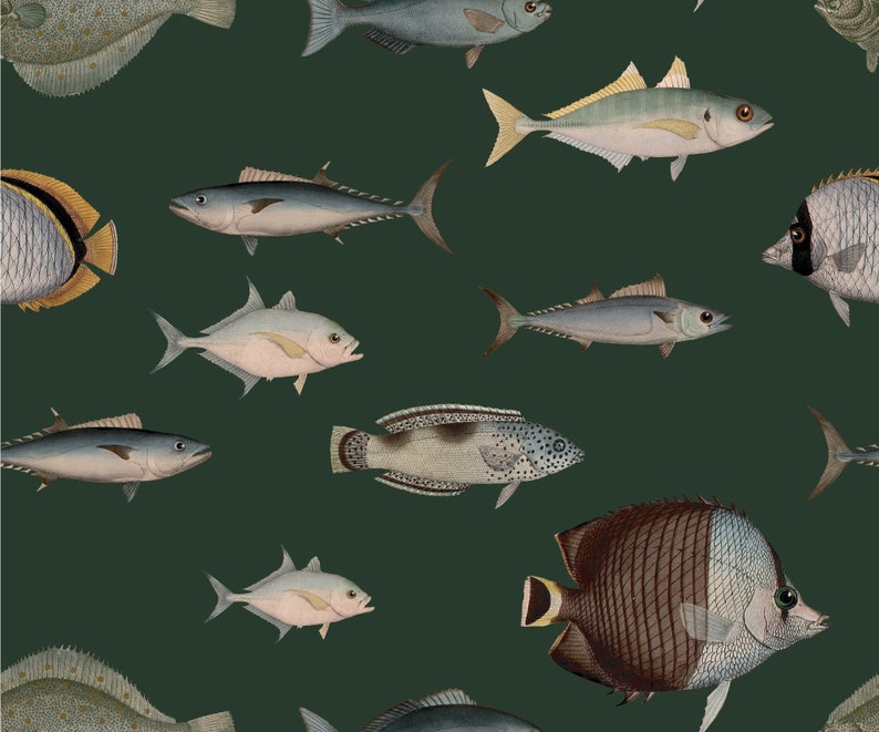 Vintage Tapete abnehmbar Fisch-Muster Meer Fisch | Etsy