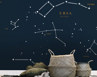 kids wallpaper, Ursa Major, constellation pattern, personalized, removable sticker, baby room decor || #K4