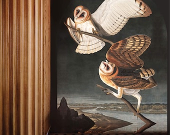 Owls Wallpaper - Stormy Sky Painting with Birds, Vintage Mural on Dark Grey Background, Removable Peel & Stick Art Room Decor - #A14