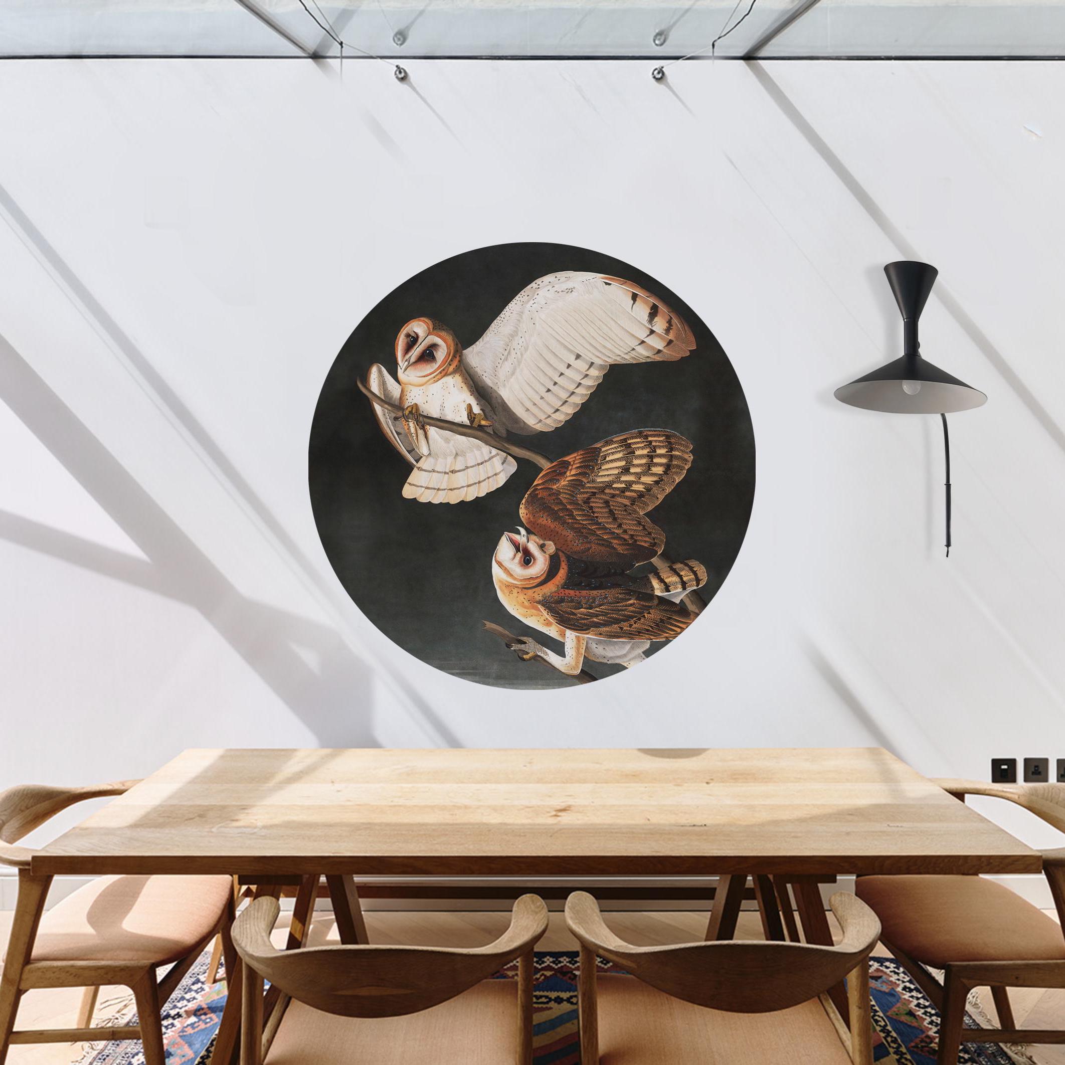 Vintage circle sticker, peel and stick owls at night, brown bird, wall decor, painted illustration, bedroom decor, removable wallpaper