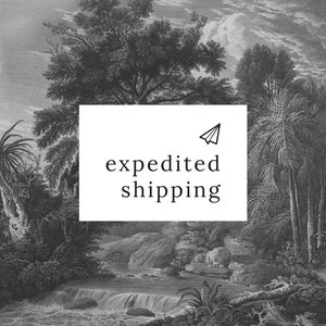 expedited shipping