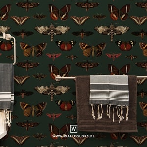 removable vintage wallpaper, moths and butterflies pattern on dark green background, botanical, living room decor || #V20