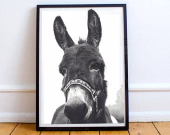 Donkey print. Donkey poster. Donkey wall art. Animal portraits. Black & white. Animal photography. Printable wall art. Downloadable print.