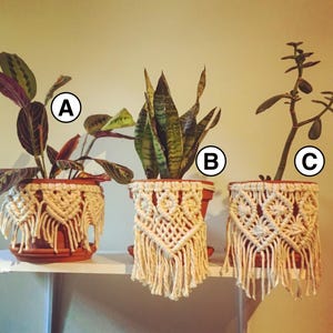 May include: Three potted plants with macrame plant hangers. The plants are a snake plant, a prayer plant, and a jade plant. The macrame hangers are all white and have a fringe.