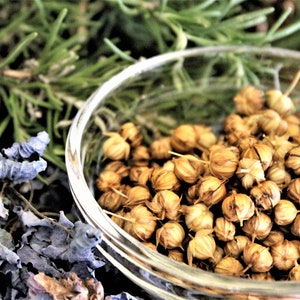 Organic Golden Flax Seeds in Pods