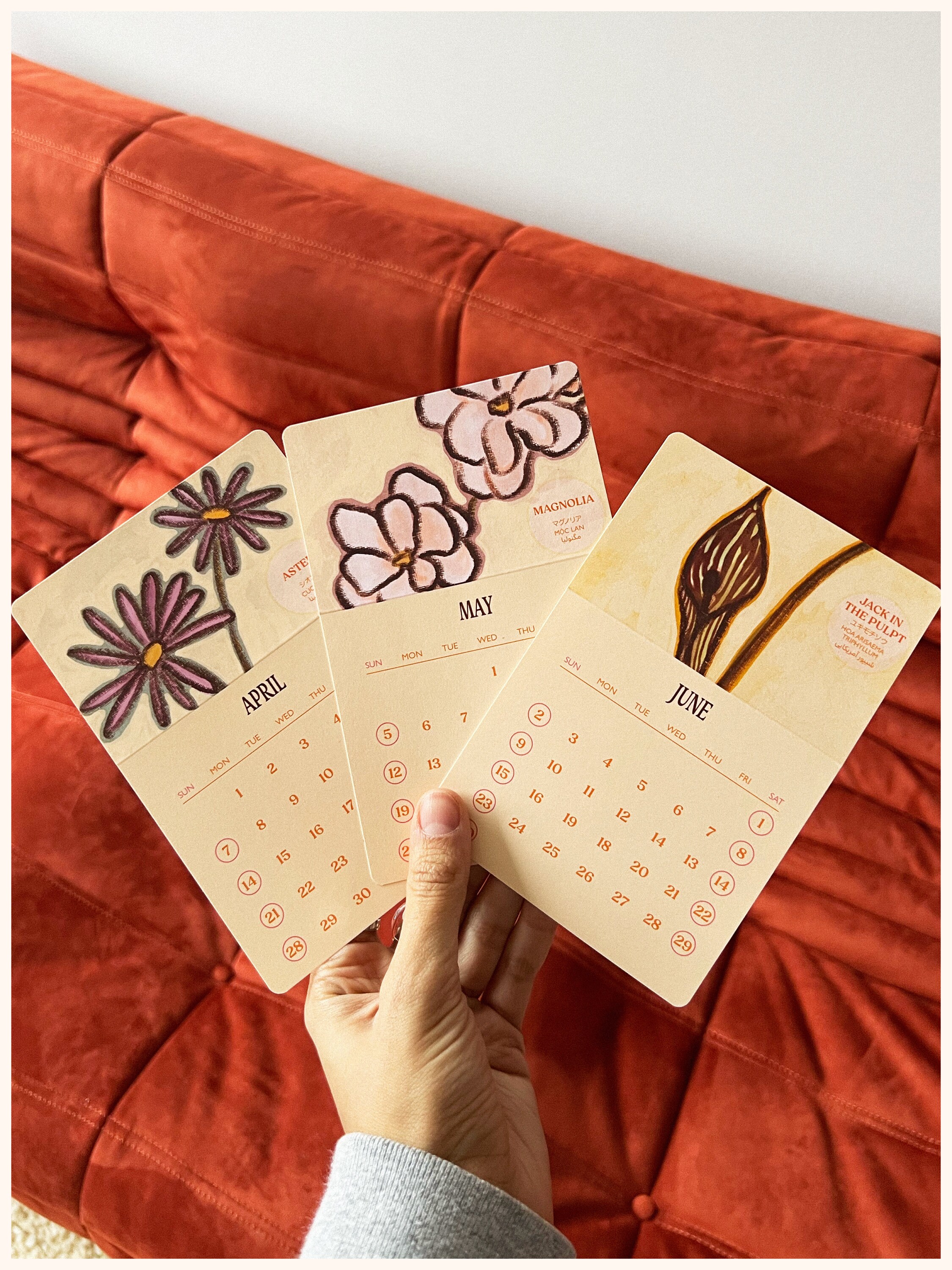 2024 Calendar Set, Mini Calendar, Art Calendar Set, Desk Calendar, Illustrated Calendar, New