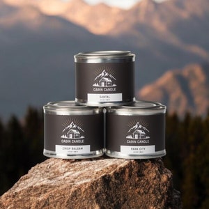 Wooden Wick Candle 3.5oz Scented Coconut Wax Candle In Paint Tin Candle for Gift Basket