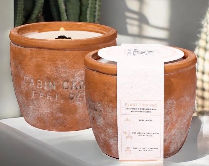Plant Candle in a 12oz Container - Succulent Candle pot - Wildflower seed embedded label - 4' Aged Terra Cotta - Eco friendly - Handmade pot